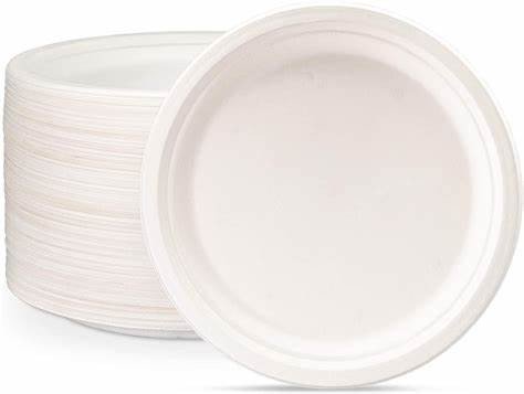 12 inch, plain plate